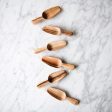 Wild Olive Wood Bin Scoop Set For Discount