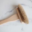 Everyday Wooden Shower & Tub Brush Hot on Sale