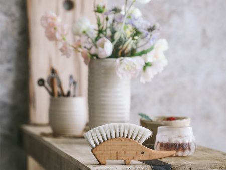 Hedgehog Table Brush Fashion