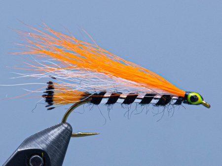 Mansfield Bucktail Online now