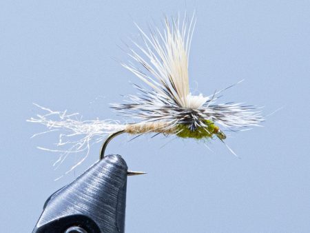 E C Cutter Caddis Online now