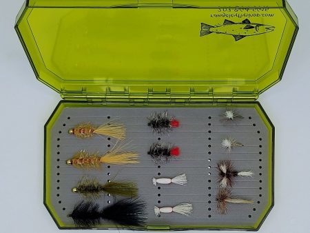 Beginning Angler s Fly Collection Cheap