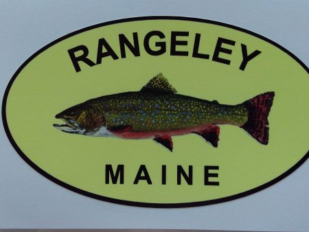 Rangeley Brook Trout sticker on Sale