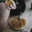 Autumn Velvet Pumpkin Online Sale