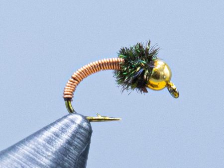 Metallic Caddis Discount