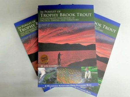 In Pursuit of Trophy Brook Trout Online