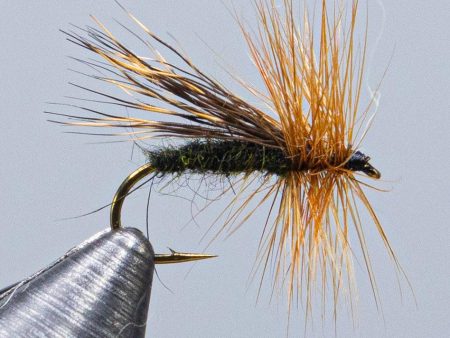 Alder Fly Sale