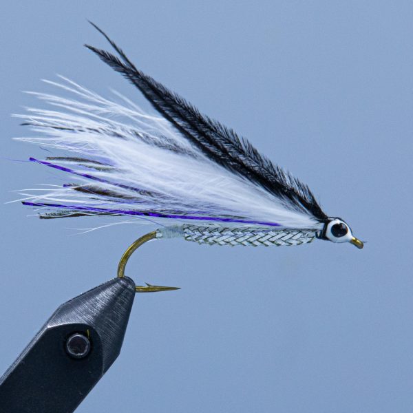 Winnipesaukee Smelt Online Hot Sale