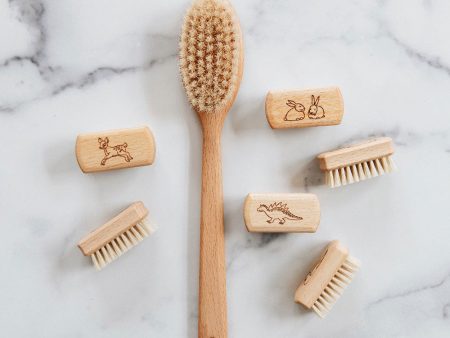 Children s Bath Brush Supply