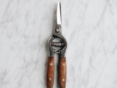 Stainless Steel & Wood Flower Snips For Cheap