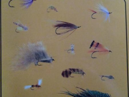 American Fly Tying Manual Supply