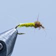 Electric Caddis Online