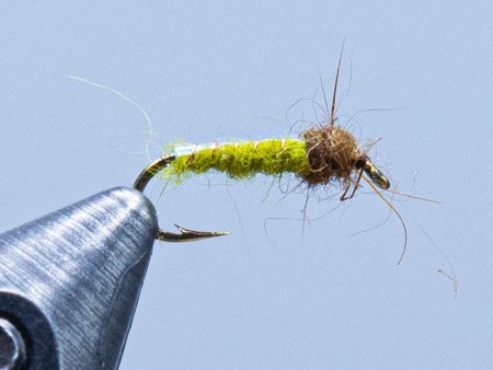 Electric Caddis Online