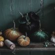 Autumn Velvet Pumpkin Online Sale