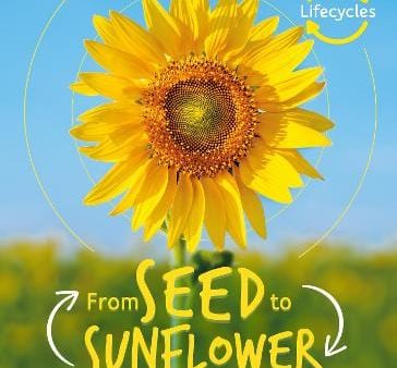 Lifecycles: Lifecycles: Seed to Sunflower [2019] paperback Online now