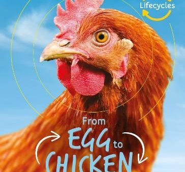 Lifecycles: Lifecycles: Egg to Chicken [2019] paperback Cheap